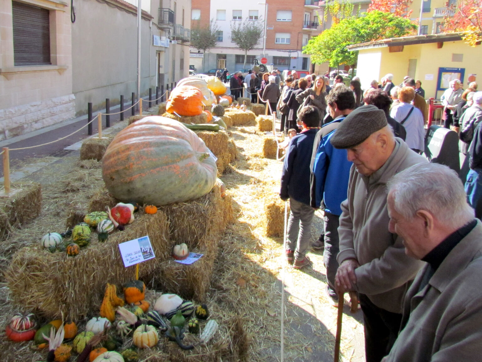 Propostes per Castanyada i Tots Sants a l’Anoia