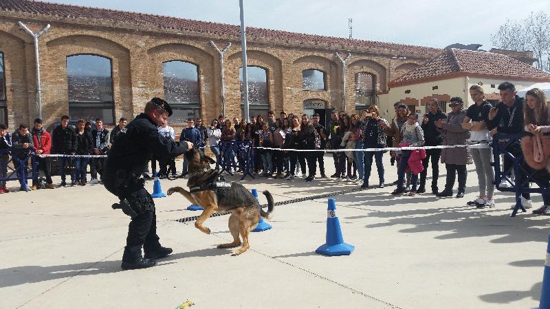 Fira Futur Masquefa