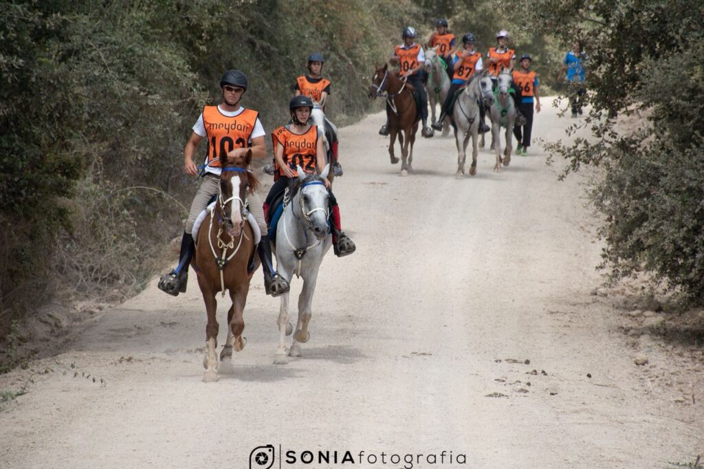 Un centenar de cavalls participen al RAID Cal Graells Alta Segarra