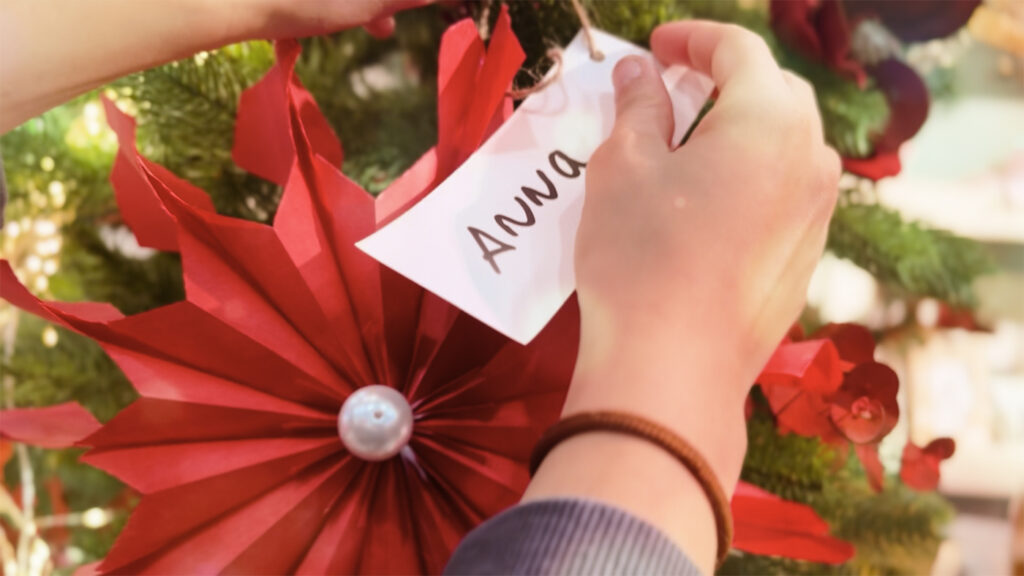 L’Hospital Universitari d’Igualada engega una campanya de Nadal per apadrinar flors solidàries fetes pels usuaris de salut mental