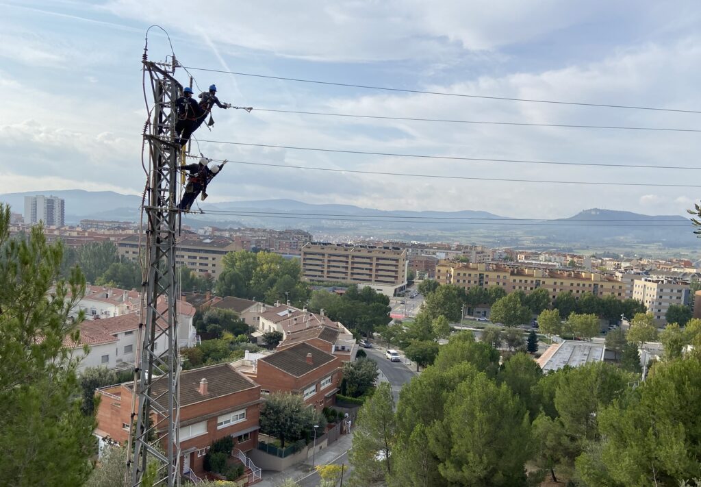 Endesa adequa dues línies elèctriques d’Igualada per protegir les aus