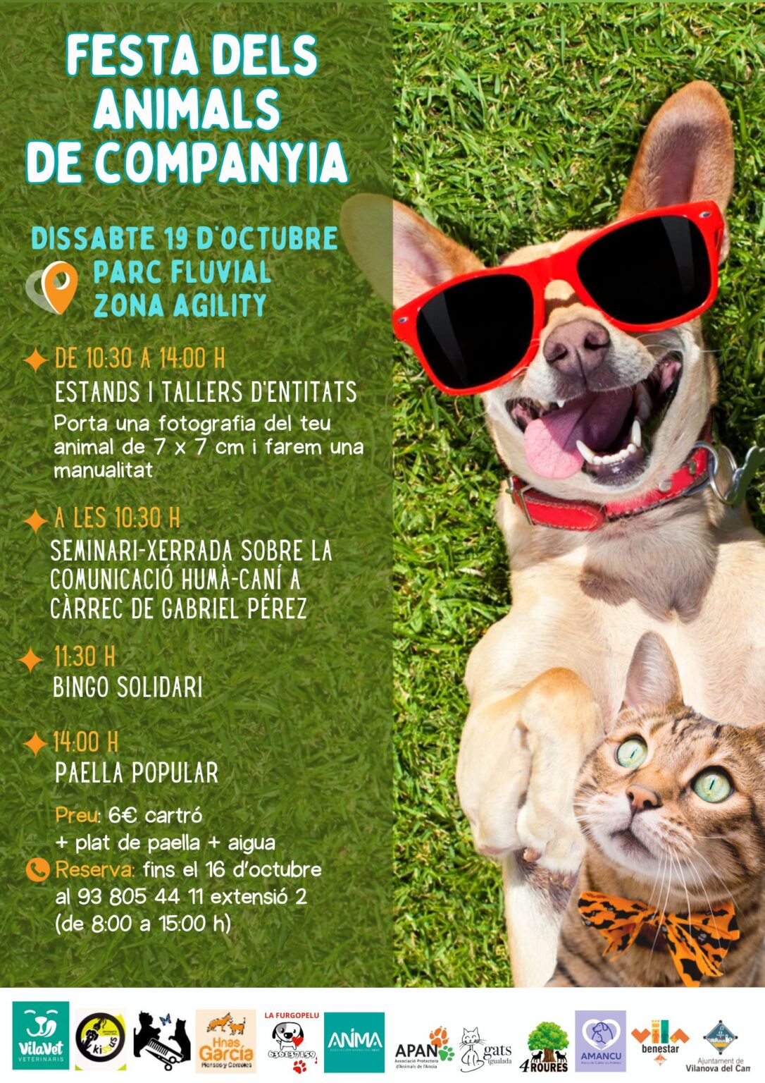 Dissabte, 4a Festa dels Animals de Vilanova del Camí
