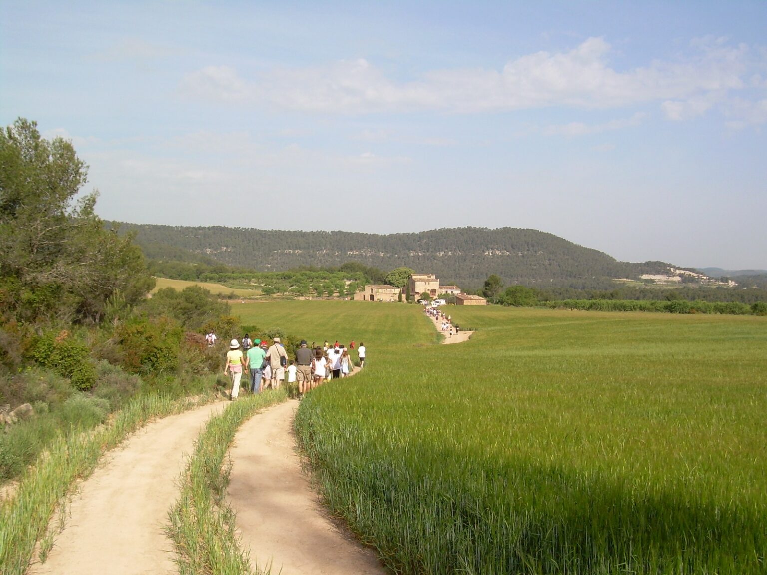 Diumenge, 27a Caminada Popular de Tous