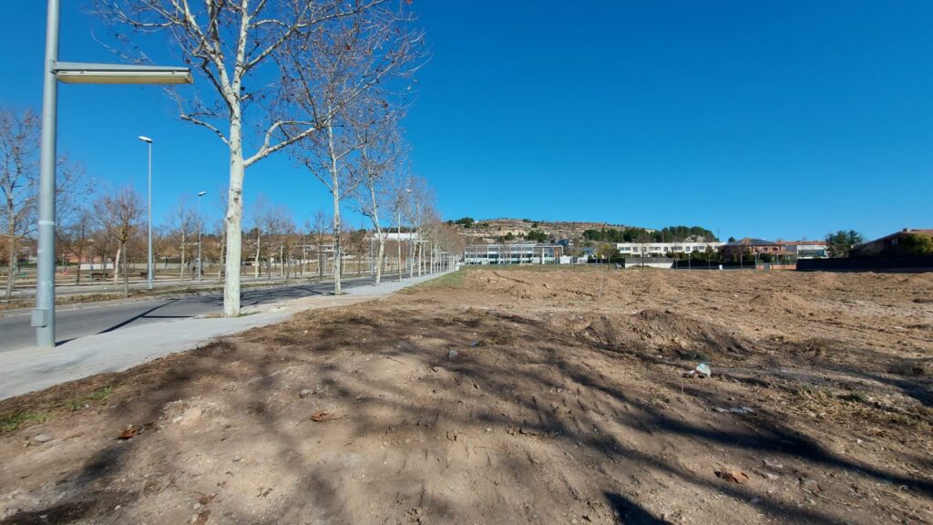 L’Ajuntament d’Igualada plantarà 70 oliveres amb el Consell de la Infància per recuperar la producció tradicional d’oli