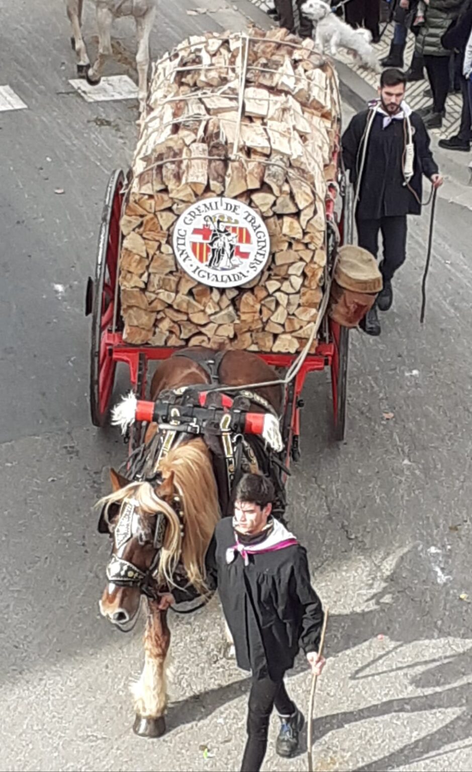 Els Tres Tombs compleixen amb la tradició amb 64 carruatges i prop de 200 animals