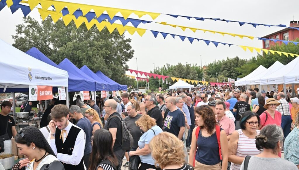 Arriba la 13a edició de la Fira de la Vinyala