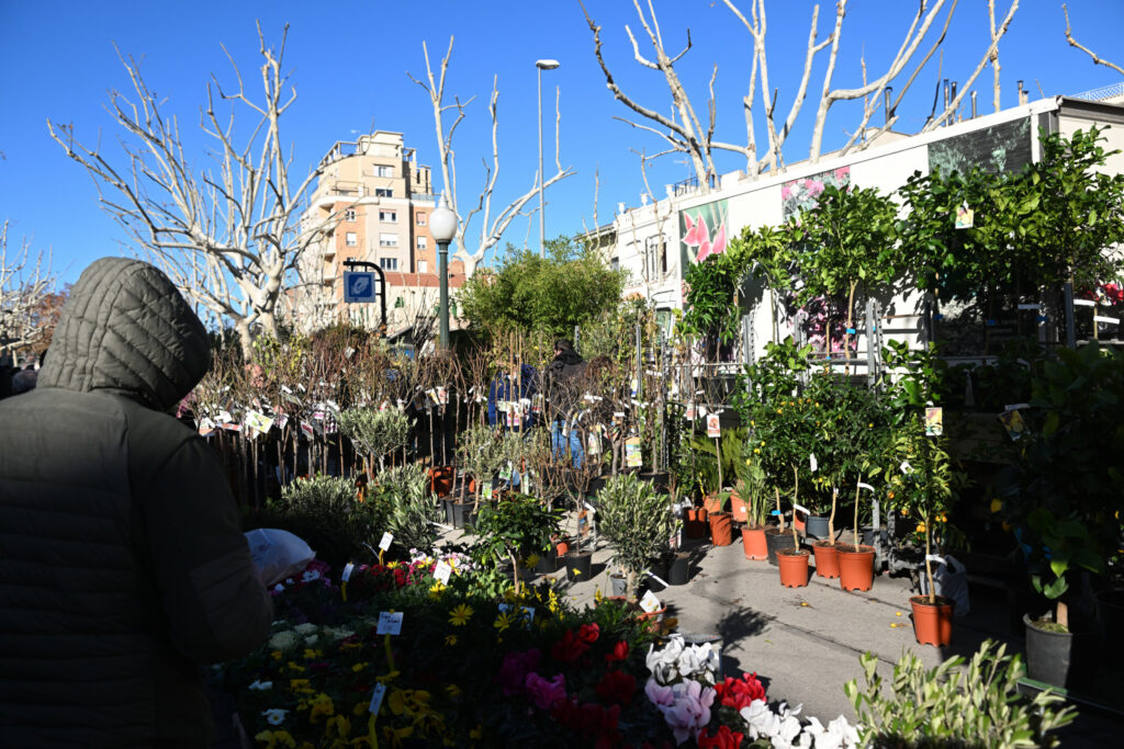 La tradicional Fira de Reis d’Igualada atrau una gran afluència de visitants