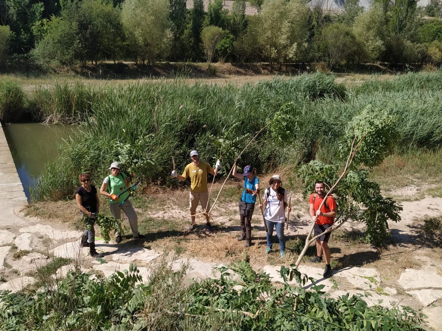 Jornada per eliminar plantes invasores del riu Anoia