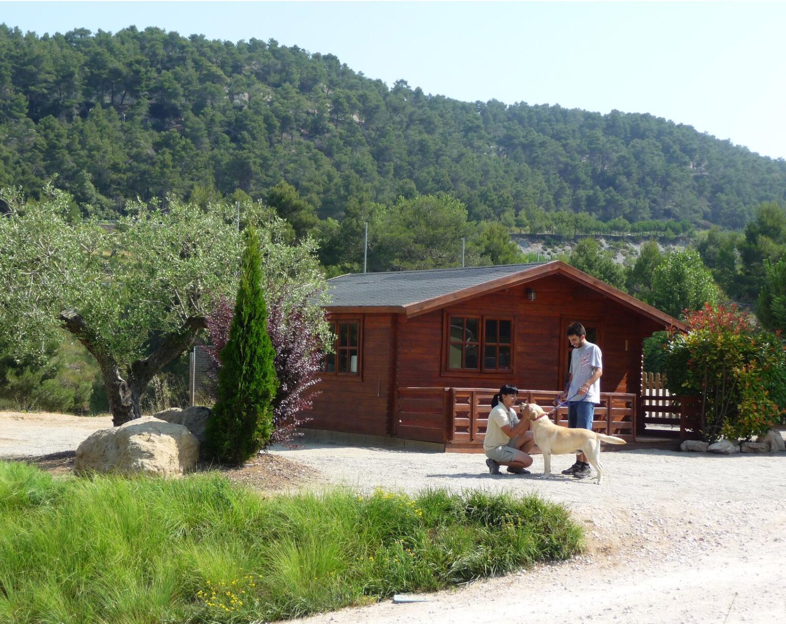 Castellolí facilitarà un servei de residència canina durant la revetlla de Sant Joan