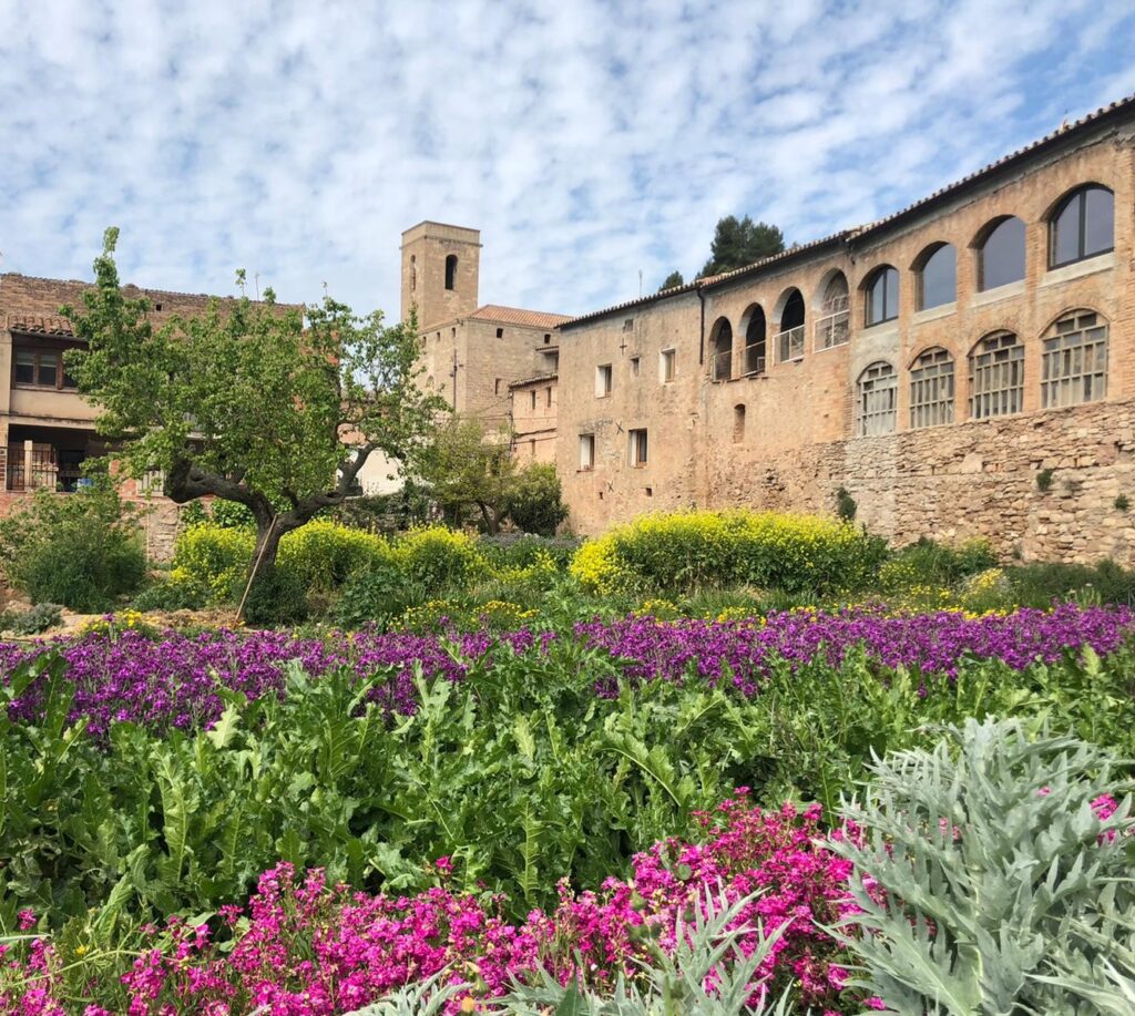 Diumenge, lliurament dels primers Premis Eixarcolant per al foment de l’etnobotànica.