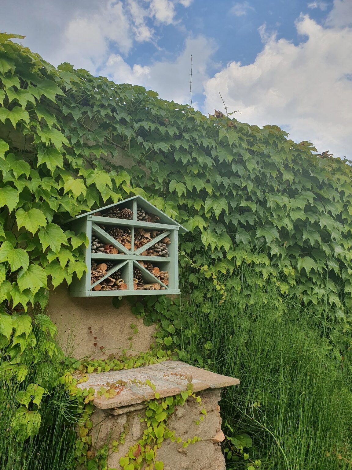 L’Ajuntament d’Igualada engega diversos projectes per augmentar la biodiversitat urbana