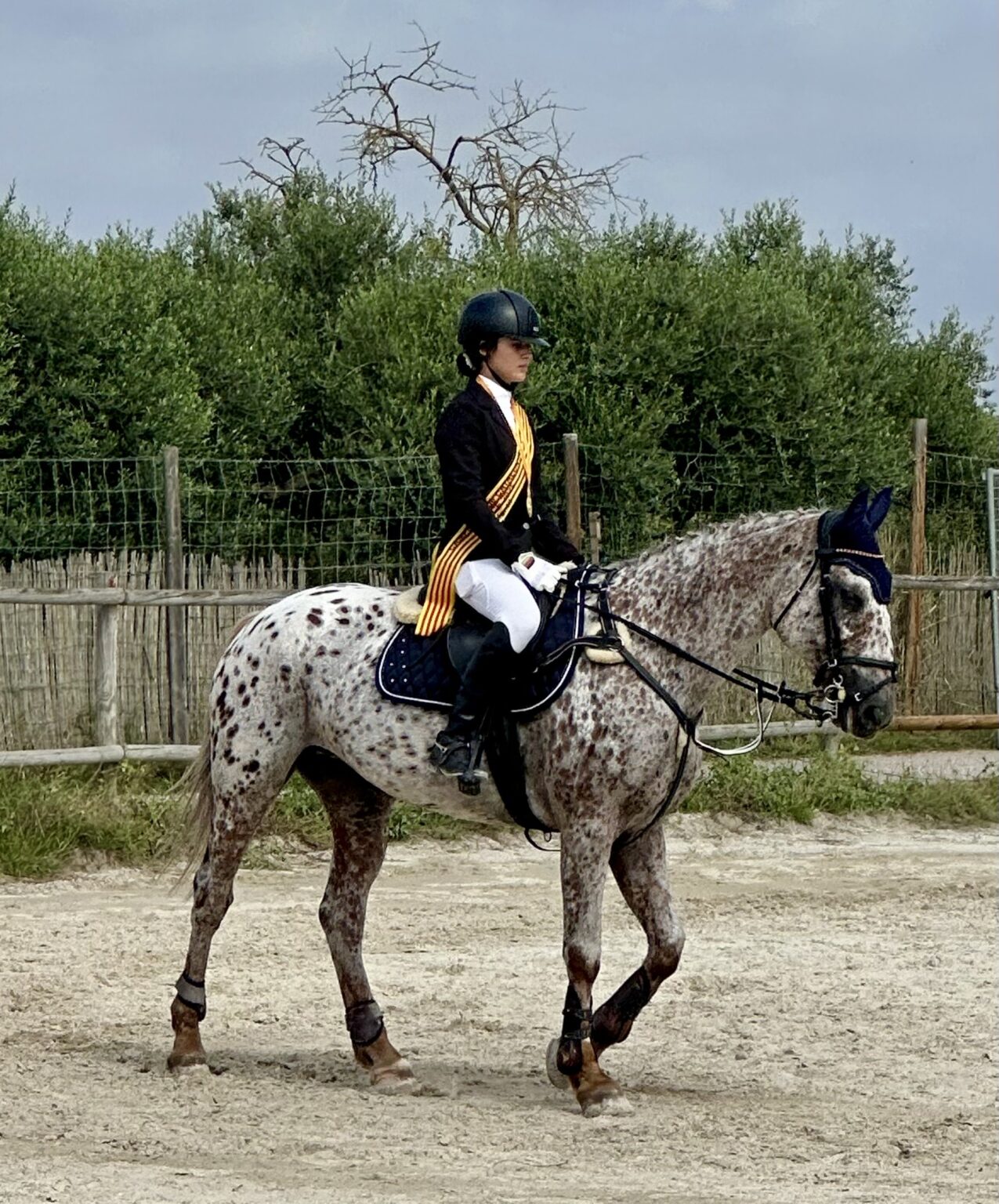 L’anoienca Nora Lara Guinart, campiona de Catalunya infantil de Concurs Complet d’equitació