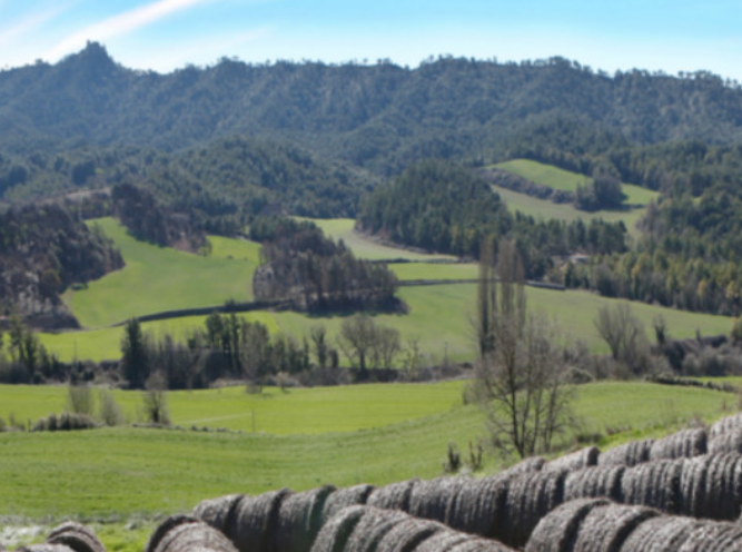 Diumenge, jornada oberta de Preservem l’Anoia