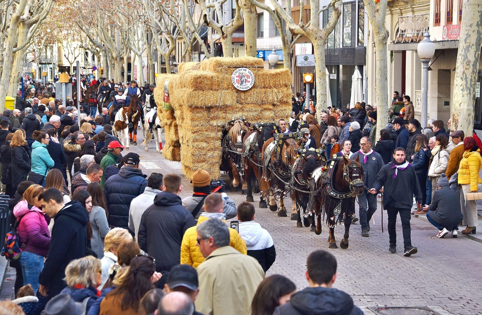 Igualada celebra els Tres Tombs amb més d’una cinquantena de carros
