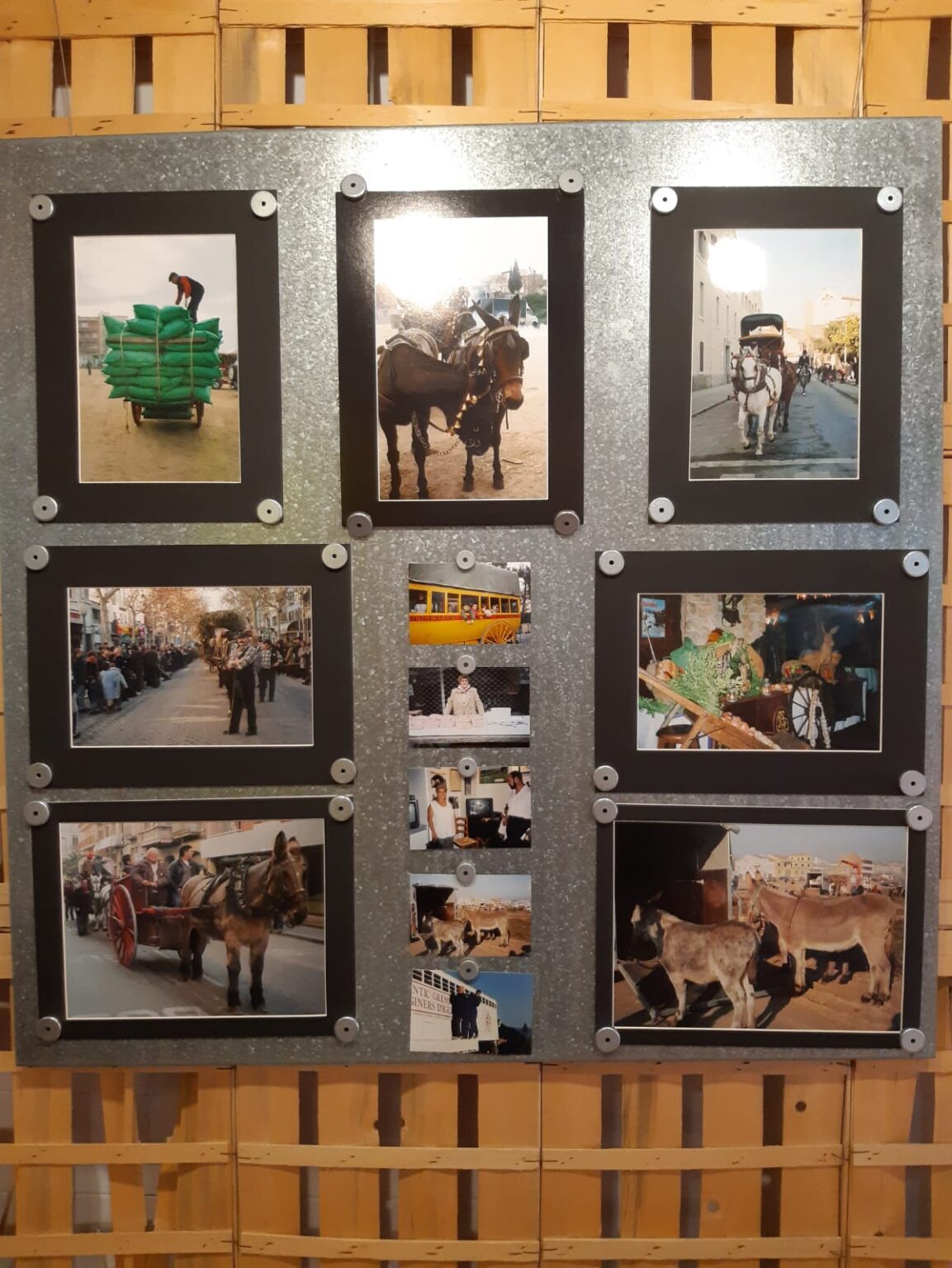 La Masuca exposa fotografies del Concurs dels Tres Tombs
