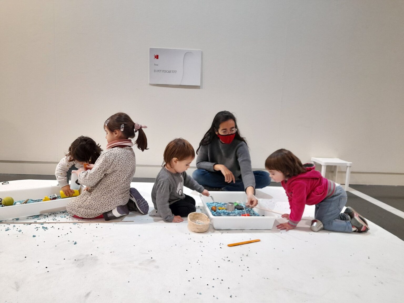 L’Escola Gabriel Castellà d’Igualada participa en un projecte per fomentar els aprenentatges científics i tecnològics
