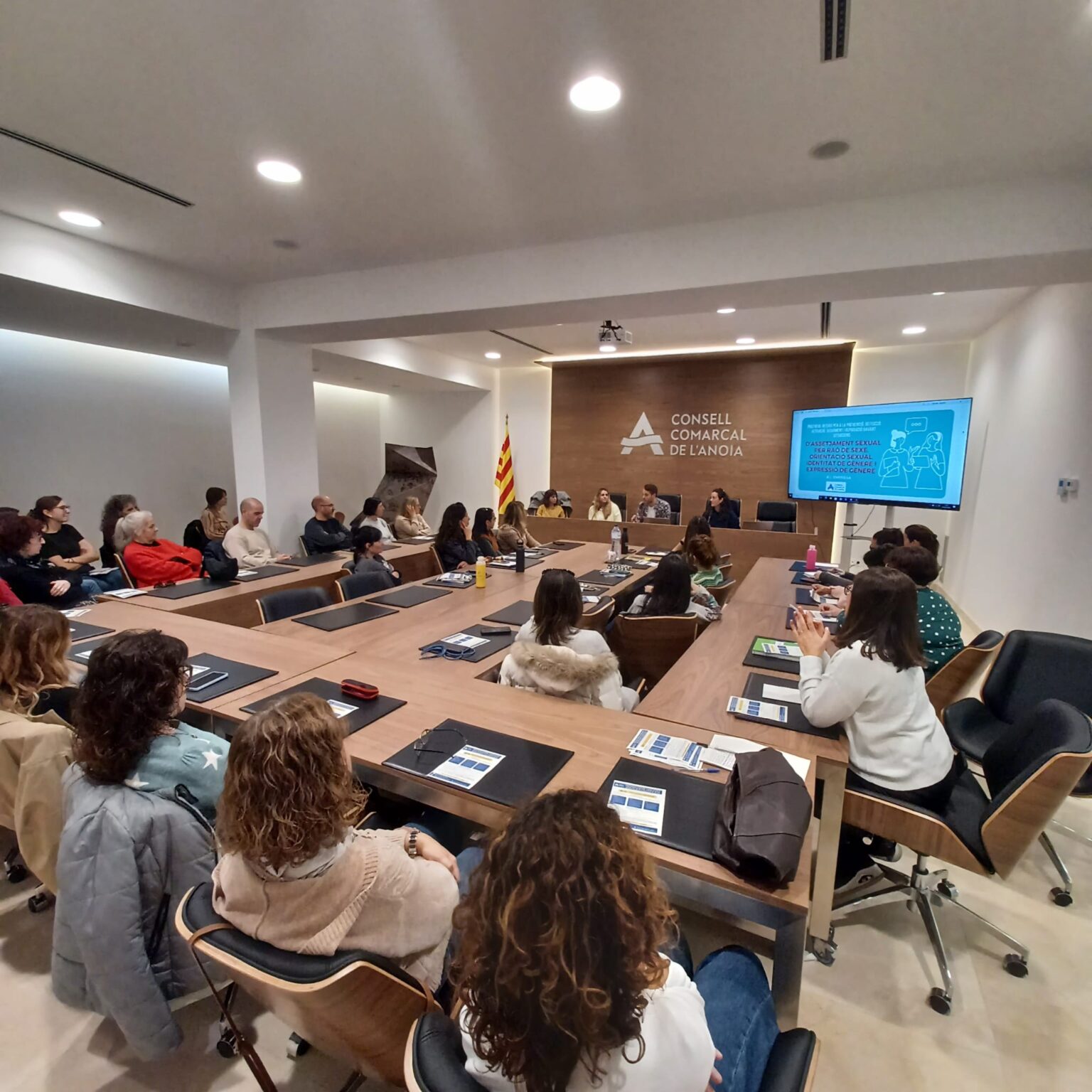 El Consell Comarcal de l’Anoia constitueix la comissió per a la prevenció i actuació davant l’assetjament