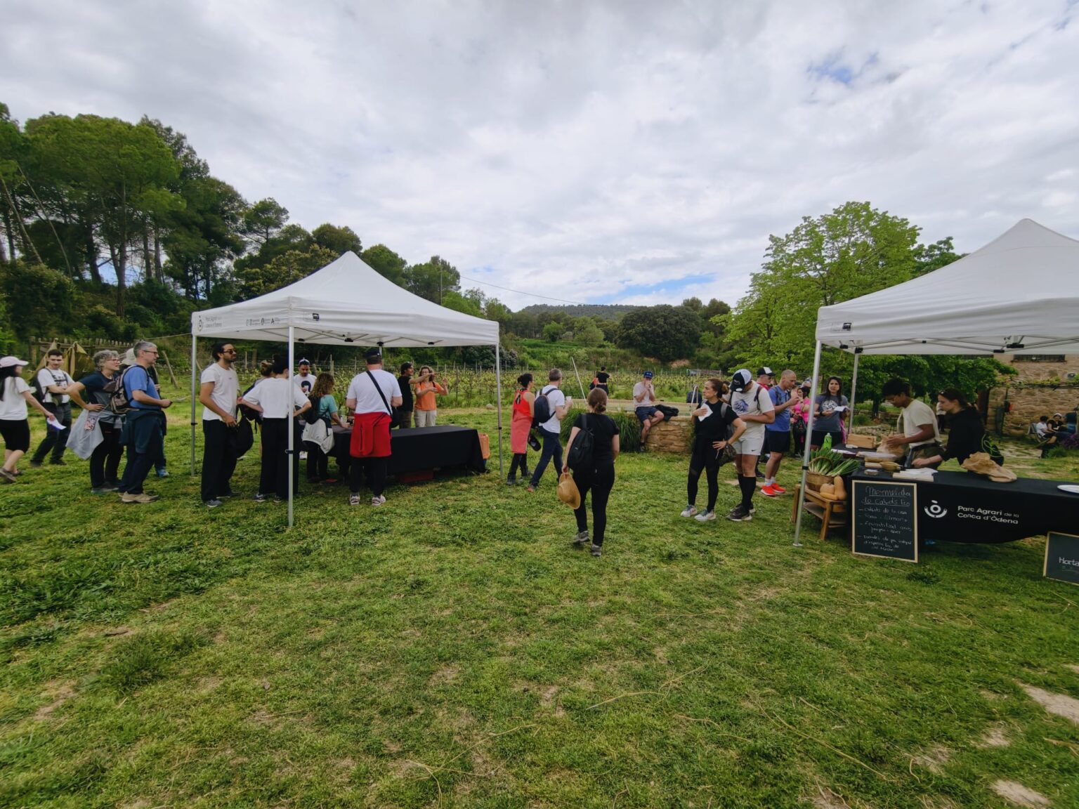 El Parc Agrari de la Conca d’Òdena reuneix prop de dos-cents participants al Rutatast