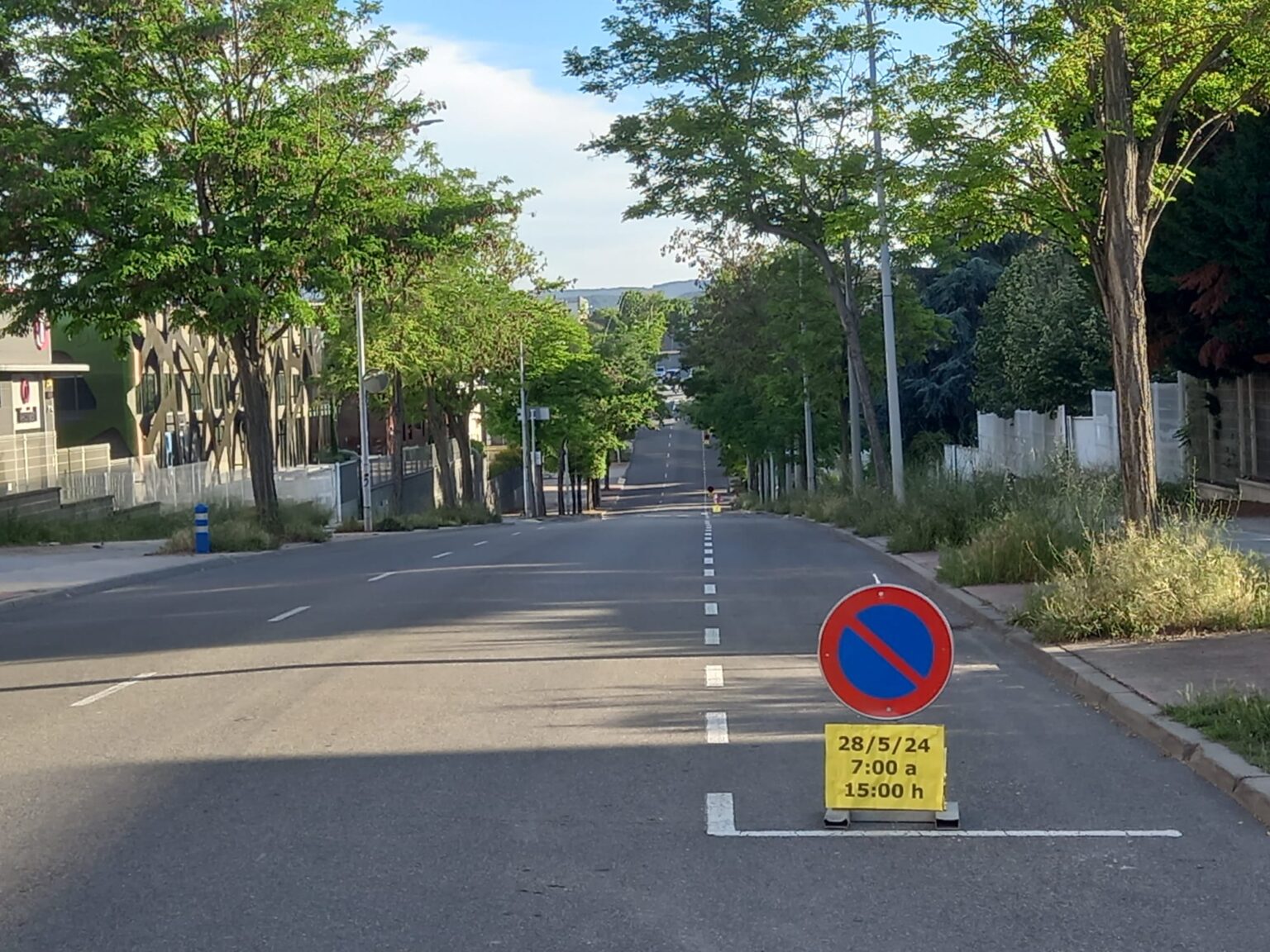 Poble Actiu demana un protocol de poda d’arbres a Igualada