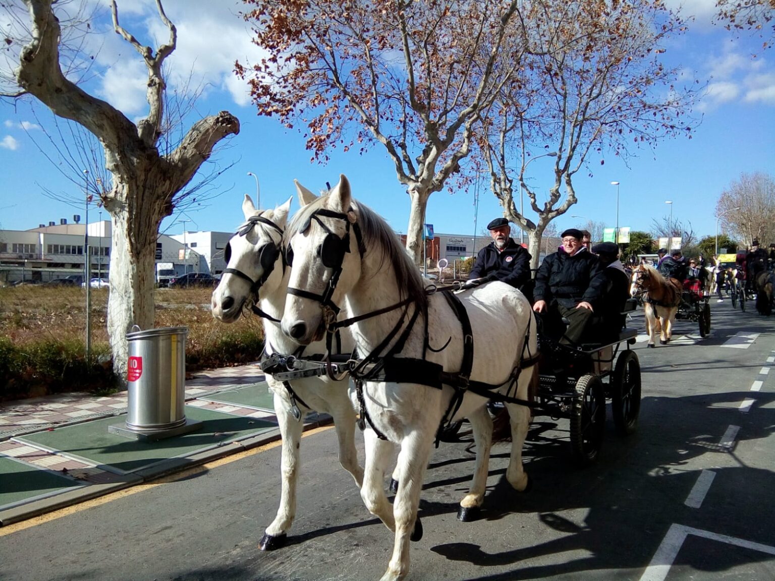 Els traginers d’Igualada celebren els darrers actes de les seves festes gremials