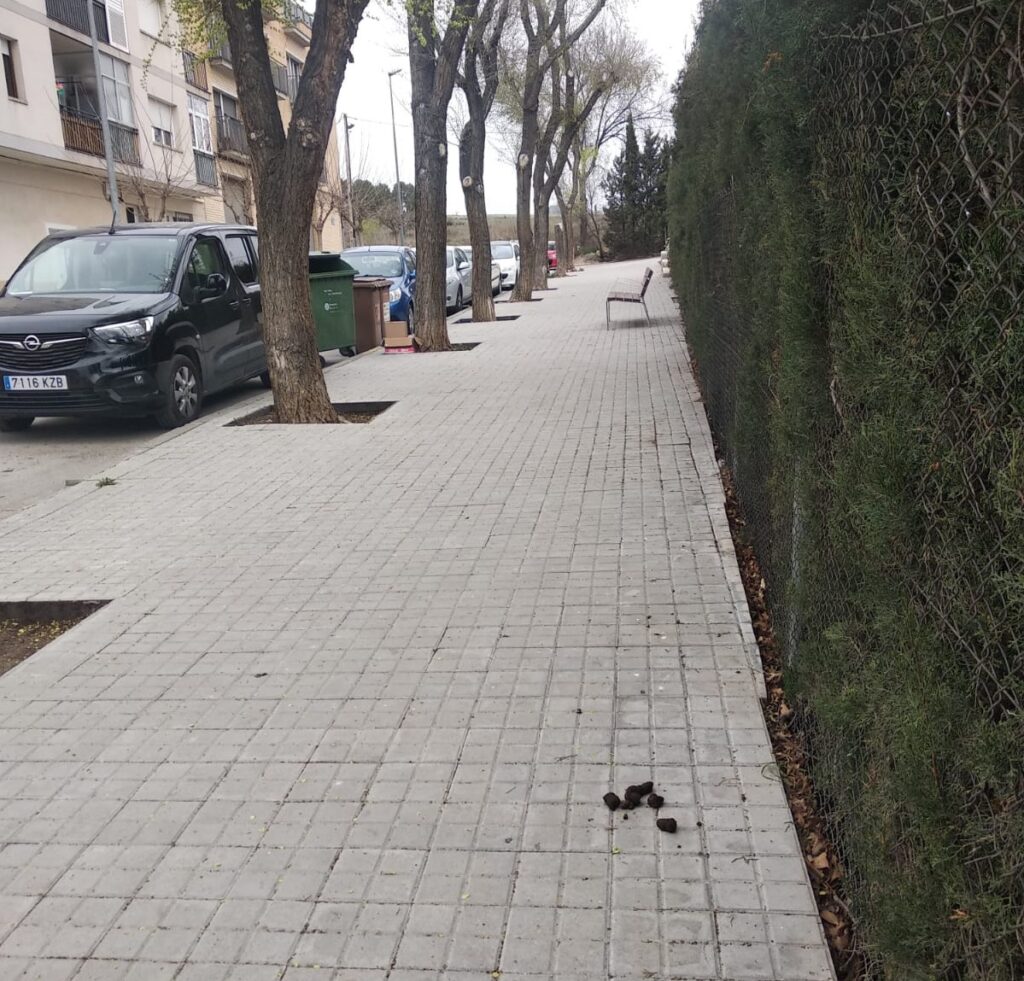 Vilanova del Camí reforçarà la inspecció sobre la tinença de gossos