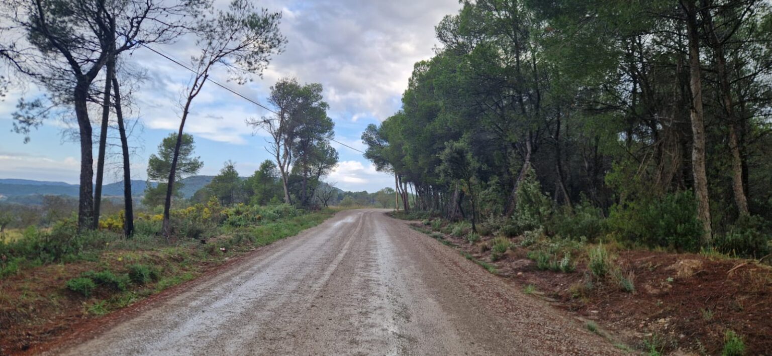 Jorba inicia l’arranjament de diversos camins forestals per la prevenció d’incendis