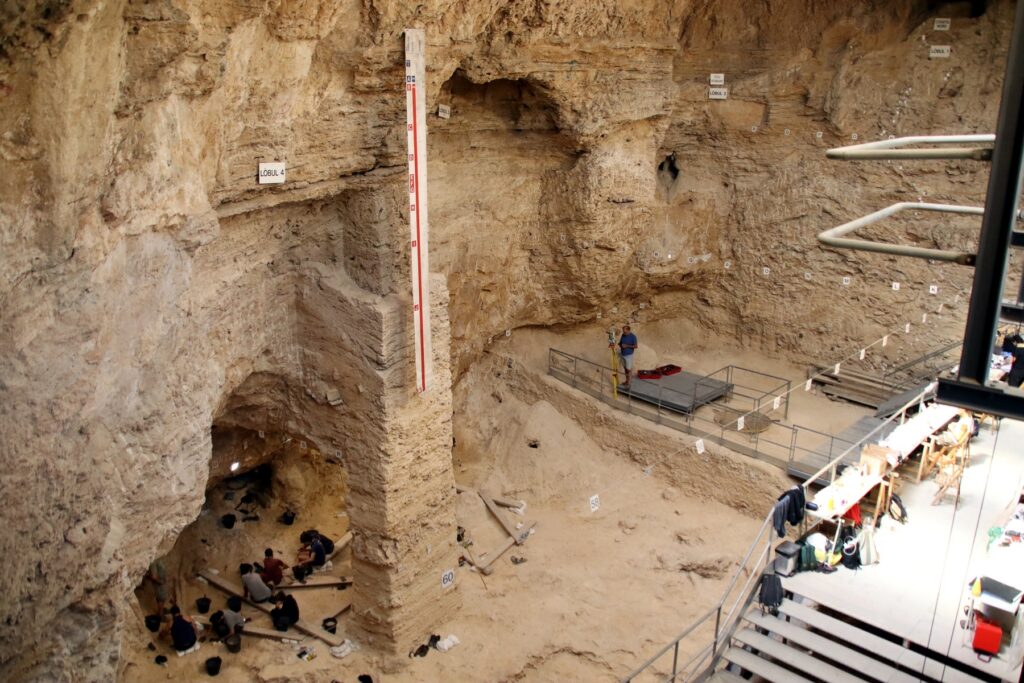 Apareix a l’Abric Romaní un nou nivell amb fogars, restes de cérvols i eines de neandertals