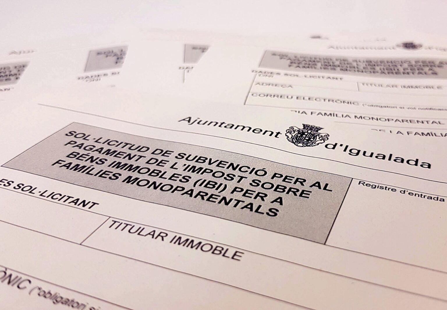 Obert el termini per demanar ajuts per l’IBI i la taxa d’escombraries a Igualada