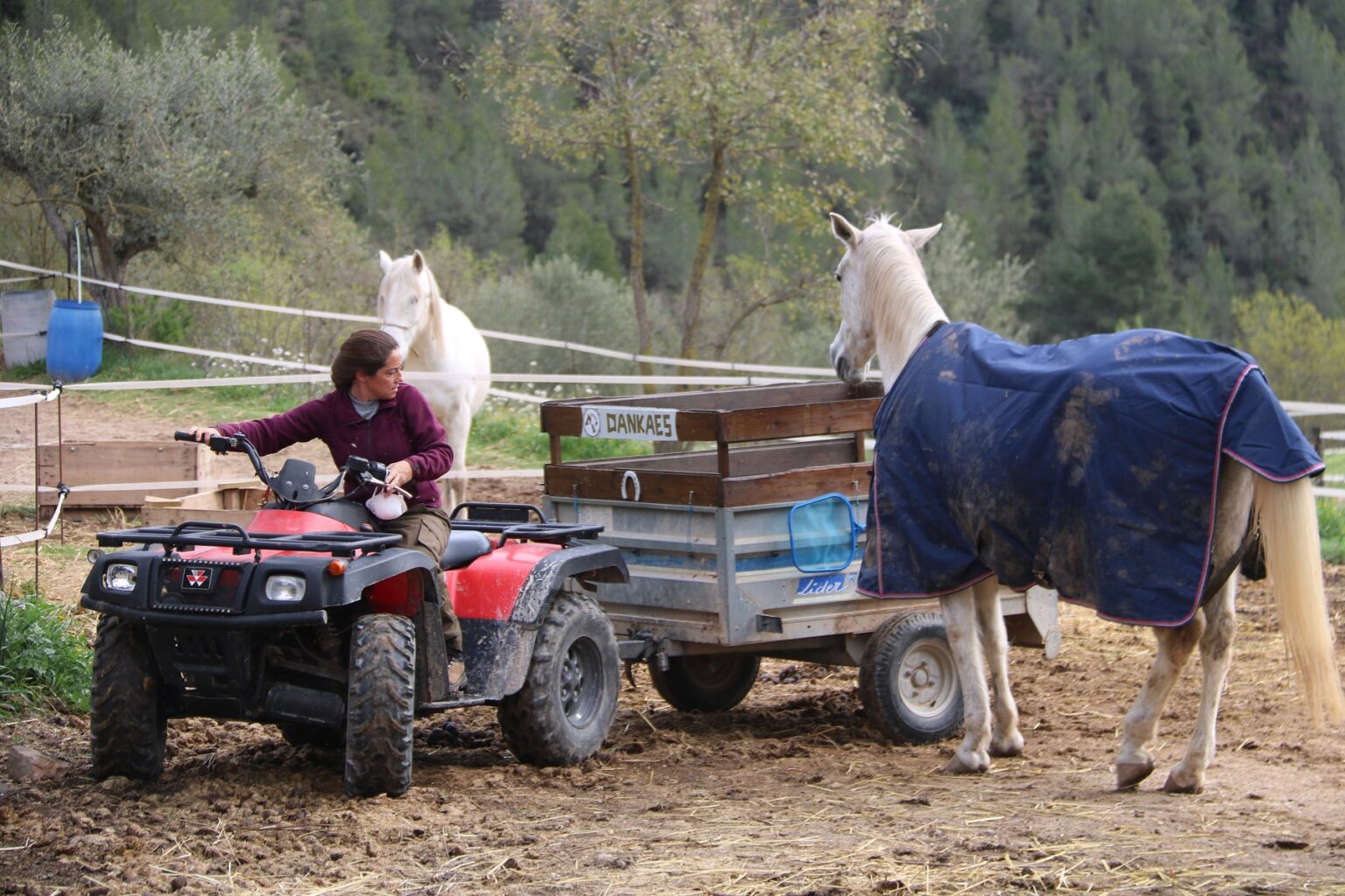 Una vintena de sortides controlades diàries des de la Conca d’Òdena per tenir cura d’animals