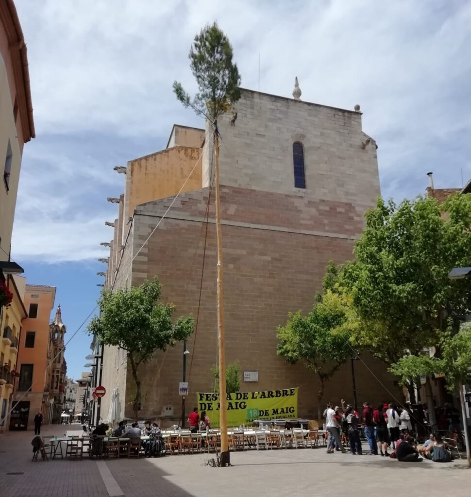 La Festa de l’Arbre de Maig se celebrarà enguany de forma simbòlica
