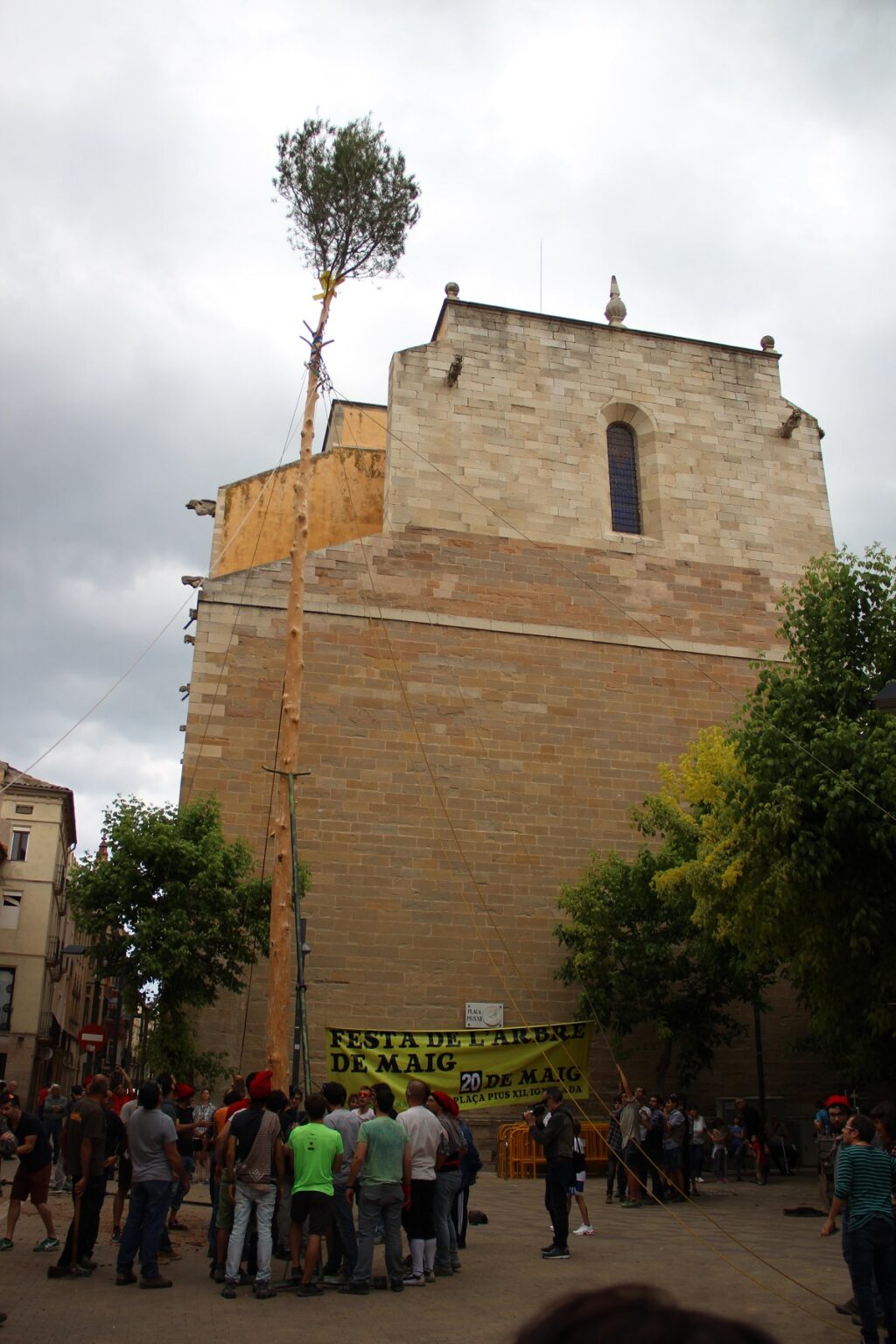 L’arbre de Maig ja està a la plaça Pius XII