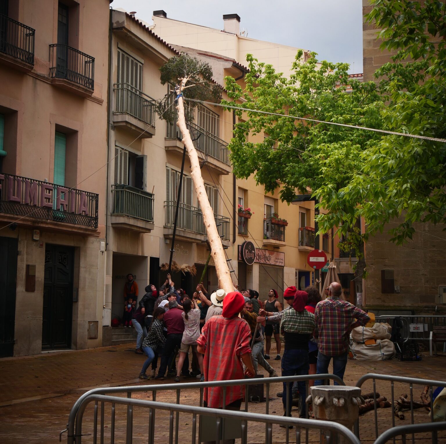 L’arbre de Maig llueix un any més a Igualada