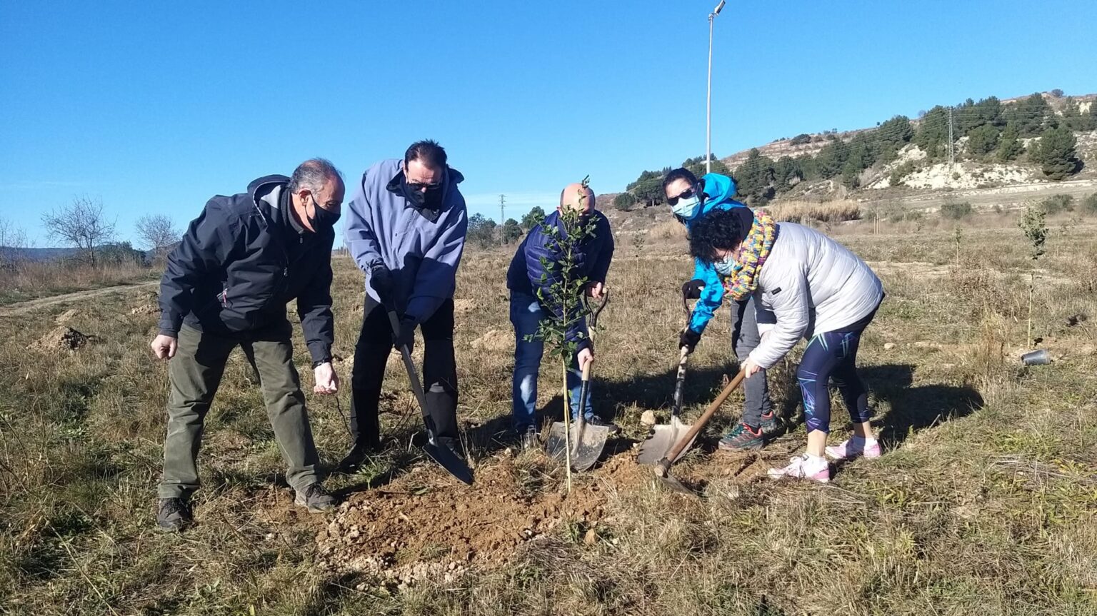 El Rotary Club Igualada planta 325 alzines a l’entorn de l’Estadi Atlètic
