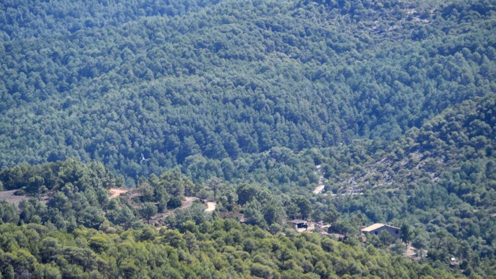 Argençola acull dissabte la jornada «La gestió del paisatge per a prevenir incendis: present i futur» i una jornada de portes obertes de l’ADF