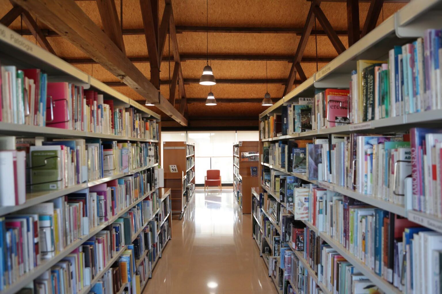 Audrey Carlan, Joël Dicker i Rafael Nadal, els autors més prestats a la Biblioteca durant els primers mesos de 2018