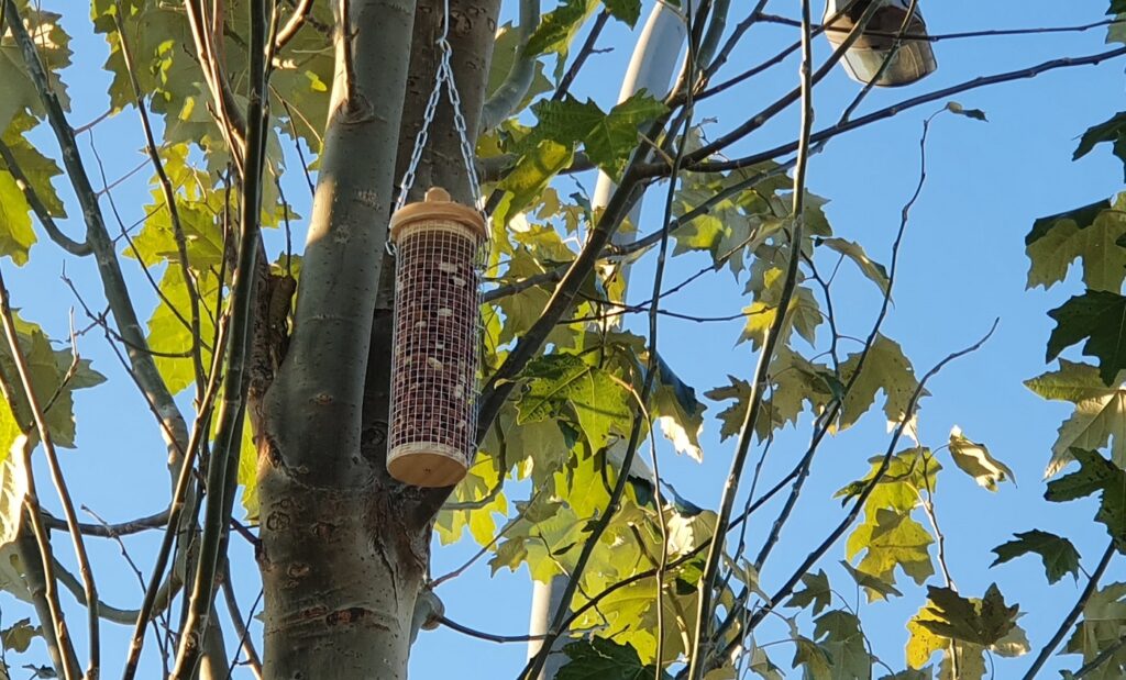 L’Ajuntament d’Igualada instal·la caixes niu per a ocells a parcs i patis d’escoles