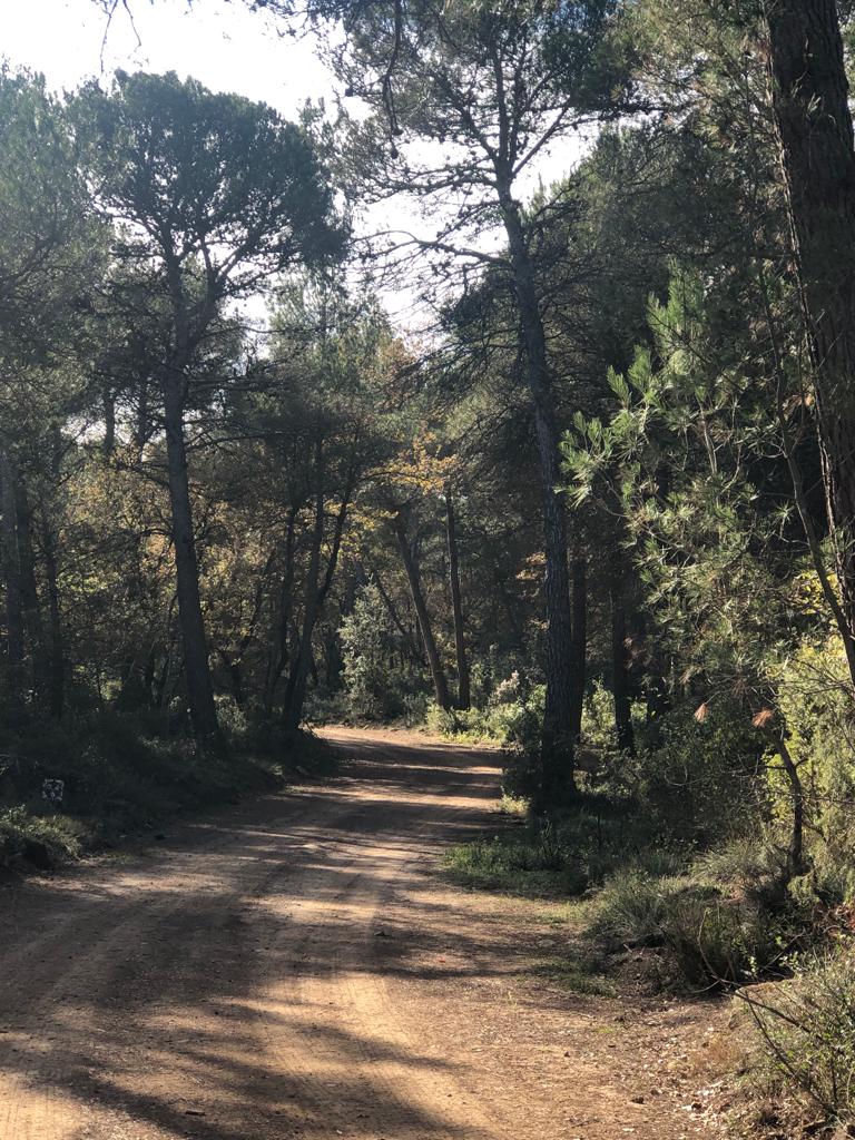 Jorba posa al dia el seu Pla de Prevenció d’Incendi Forestals