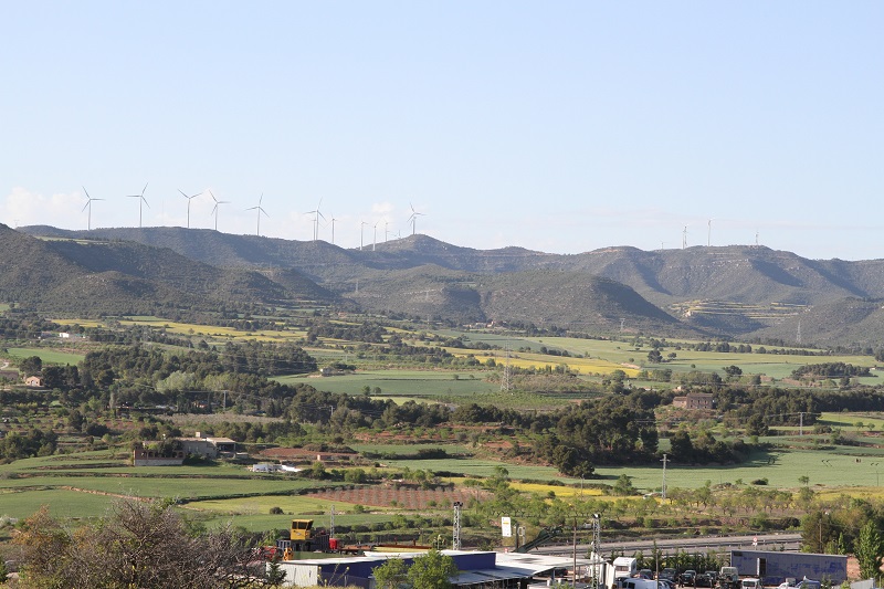 can morera