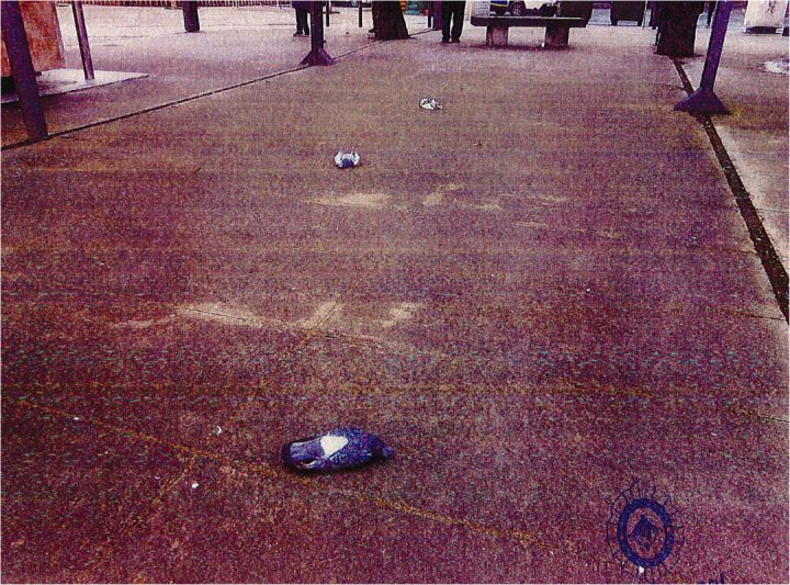 Investiguen la mort d’una quarantena d’ocells a Vilanova del Camí