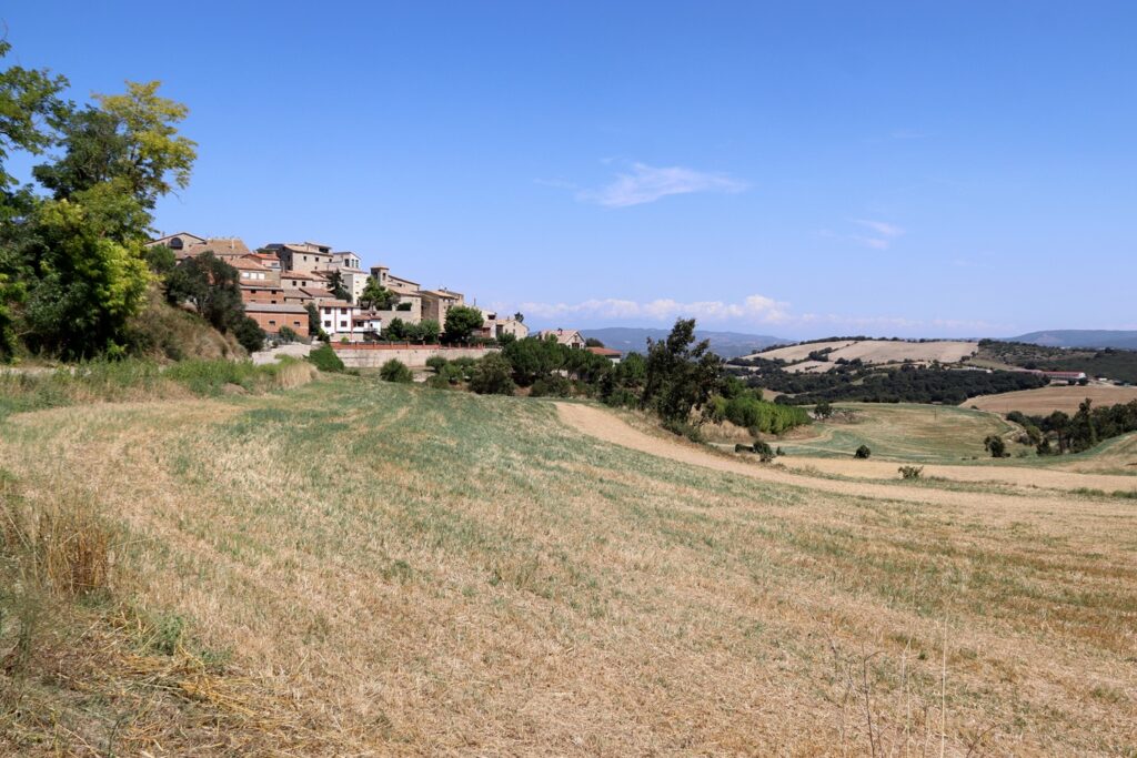 Preocupació a Pujalt pel projecte d’una planta de biogàs