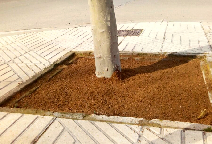 Un escocell, despr&eacute;s d'haver estat omplert amb saul&oacute;.