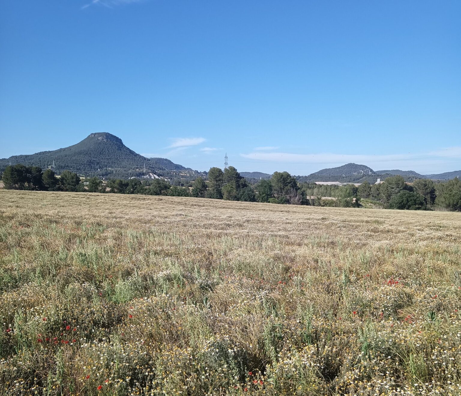 Unió de Pagesos demana aturar el projecte d’urbanització d’un sector del Pla director urbanístic de la Conca d’Òdena per incomplir la Llei d’espais agraris