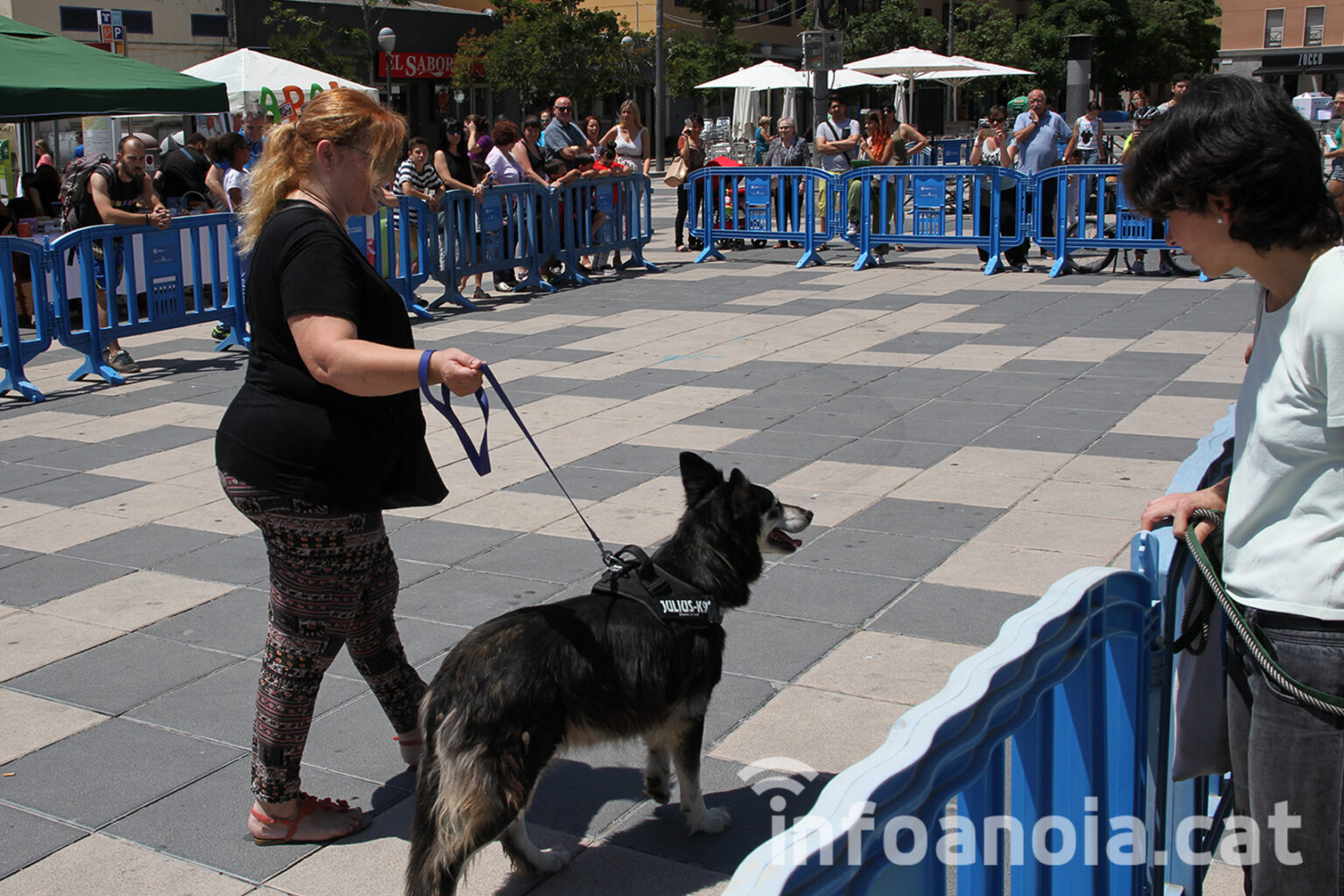 Igualada acull diumenge la sisena fira per a l’adopció d’animals de companyia