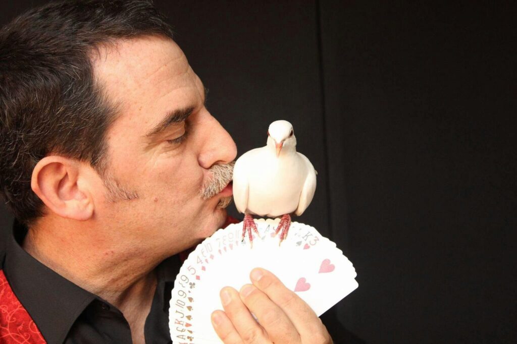 Màgia, música i humor a la Festa Major del Saió – Coll del Guix
