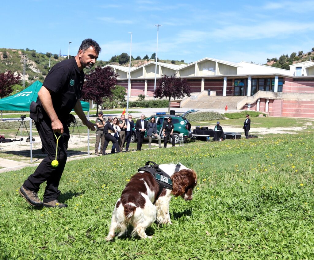 Els Agents Rurals presenten a Igualada la protecció especial dels seus gossos