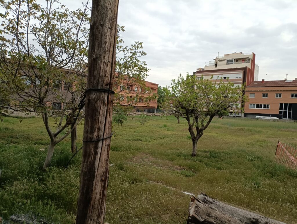 Les entitats ambientals exigeixen l’aturada de la construcció del pàrquing a l’hort de l’Asil d’Igualada