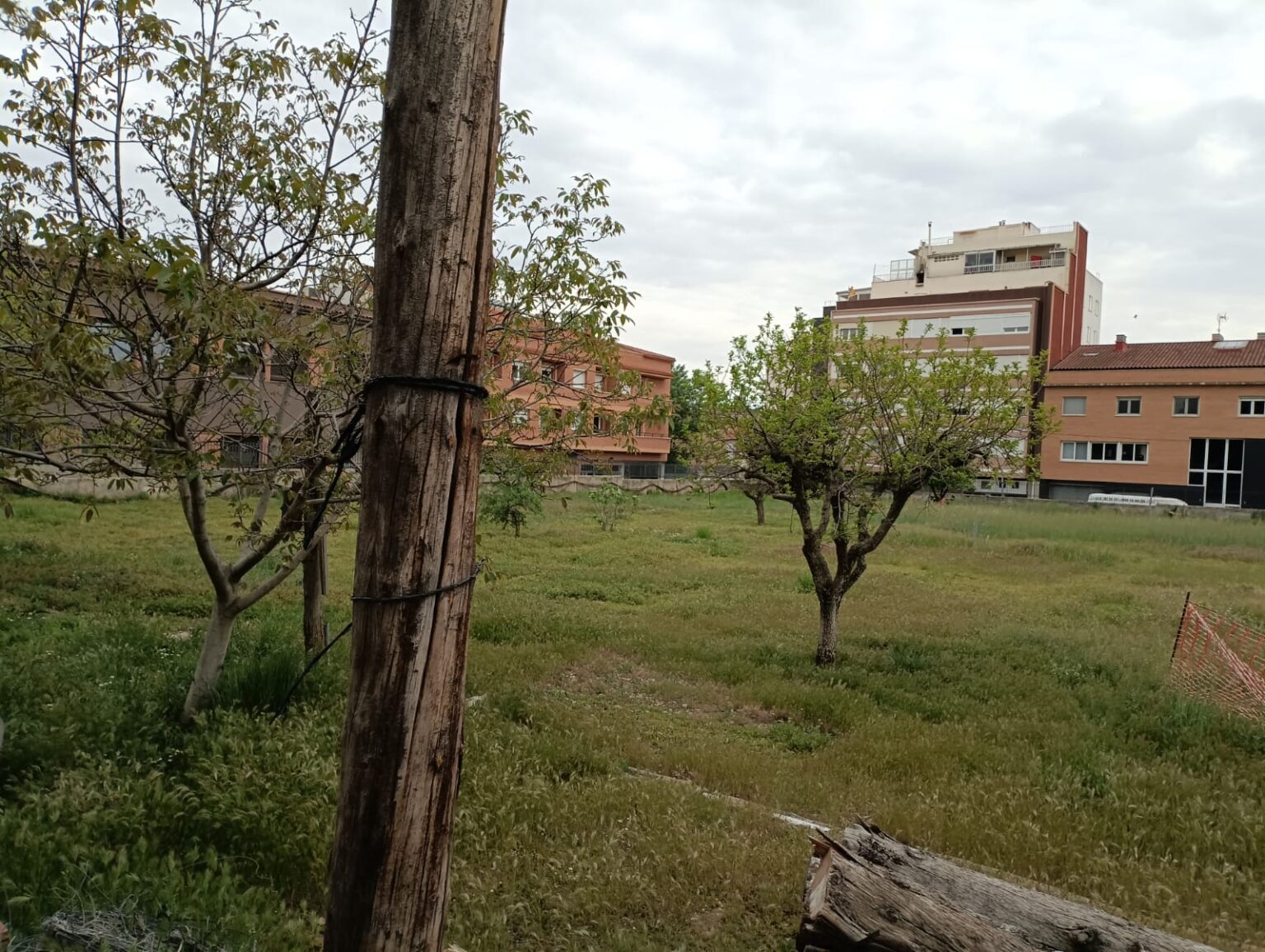 Les entitats ambientals exigeixen l’aturada de la construcció del pàrquing a l’hort de l’Asil d’Igualada