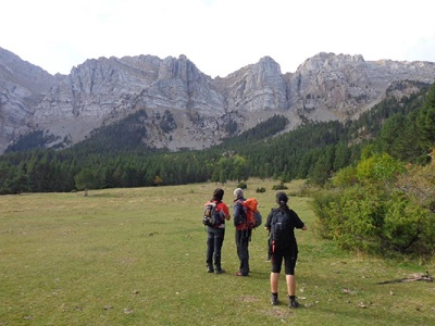 [Img #10718]