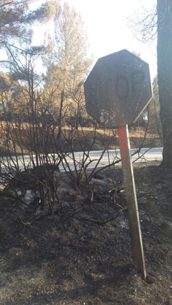 [Img #24273]