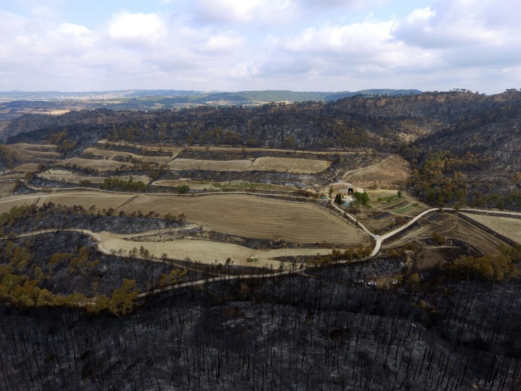 Impulsen un projecte per a la recuperació ecològica de la Serra de Queralt